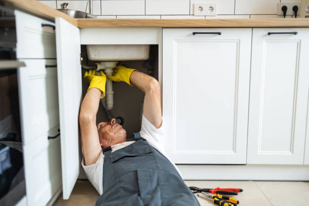 Best Plumbing Inspection Services  in Skyline View, PA